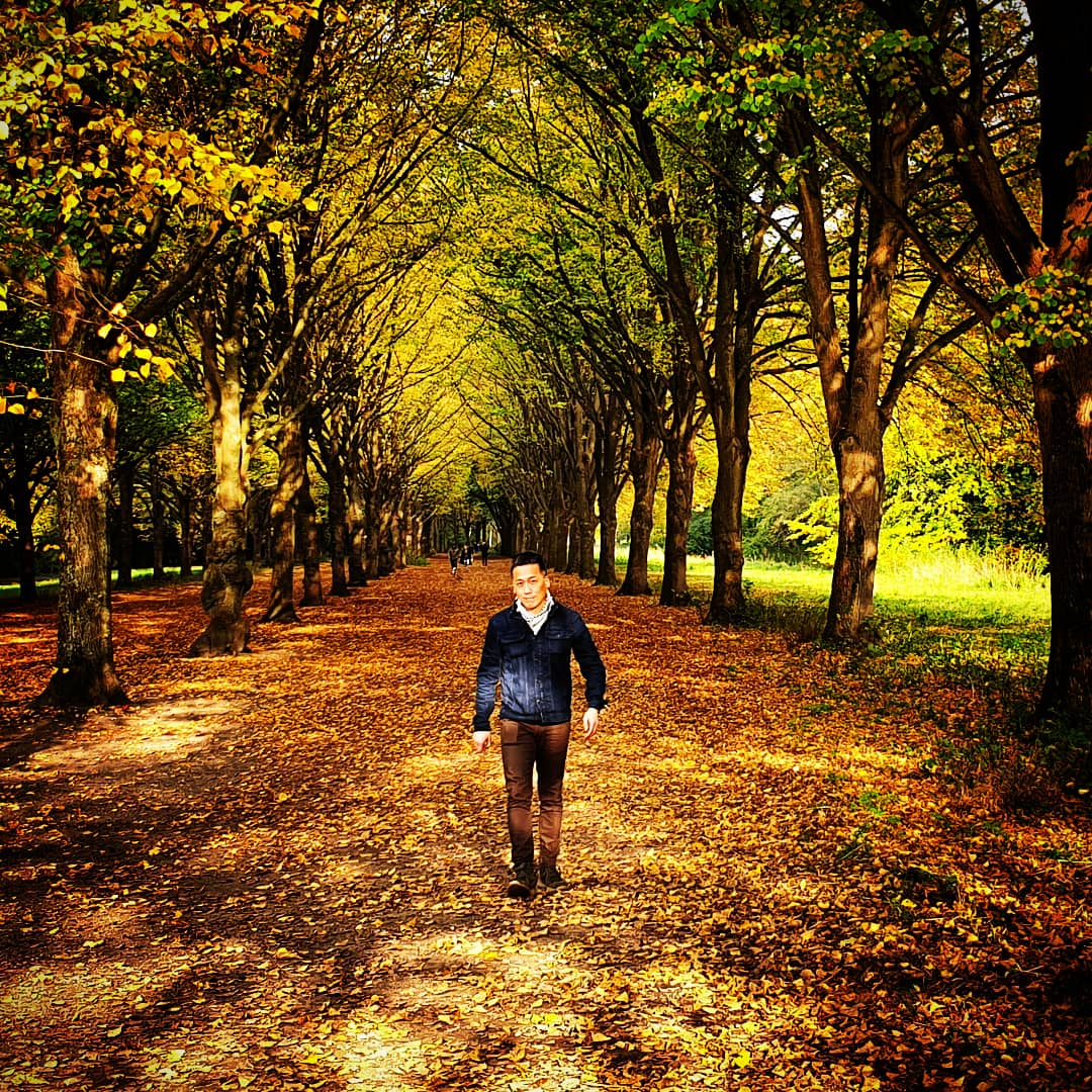 KokHwaLie's tweet photo. An autumn forest walk. #autumn #fall #herfst #boswandeling #forestwalk #autumnal #amsterdamsebos #bosplan #autumnleaves #trees #fallleaves #autumncolors #autumncolours #fallcolors #herfstkleuren #holland #dutchpride #actor #actorslife #workingactor #amsterdam https://t.co/0vo0RNjf4M