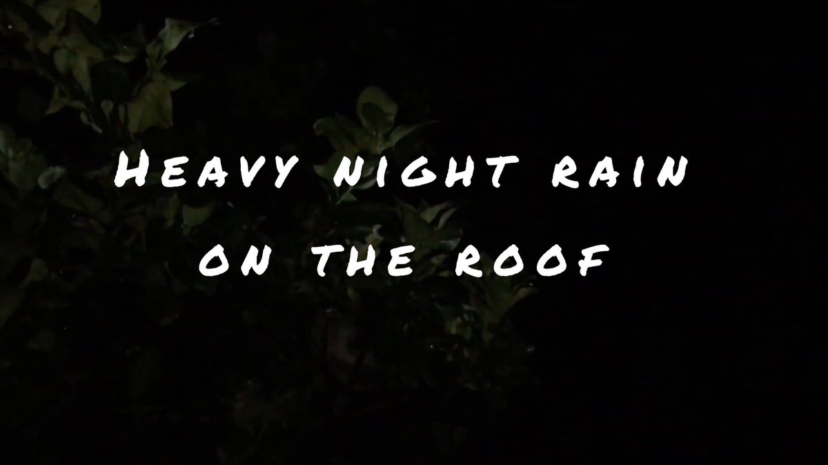 peacefulcoffee's tweet photo. |ASMR| Heavy Night Rain On The Roof | Peaceful Natural Sounds 👉 https://t.co/sIZ5J6qiAr
 🌧 🌨🌨
---
#peacefulcoffee #forestsounds #naturalsounds #peacefulraining, #peacefulsound, #peacefulasmr, #naturalsoundasmr, #naturalasmr, #naturalsound #sleepmusic #relaxmusic #focusmusic https://t.co/WskWI8htoC