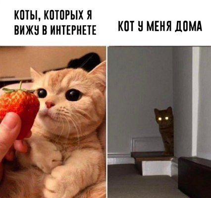 so_mad_so_funny's tweet image. 