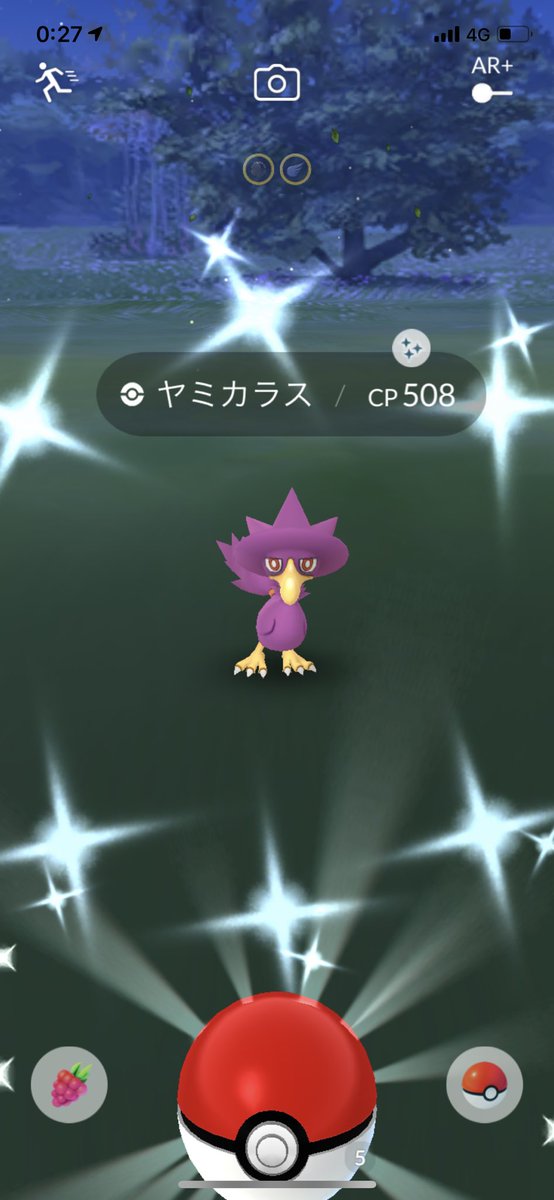 印刷可能 ポケモンgo ヤミカラス ポケモンの壁紙