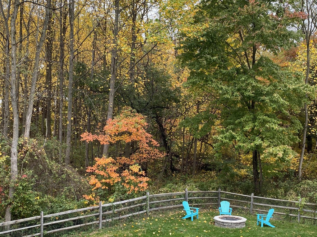 john_mcclintock's tweet photo. I love our backyard views! We will be able to see the deer and wildlife soon. We are so blessed to be able to help people find their dream homes, as well. I love real estate! #YardleyPA #YardleyLMT #realestate #realtor https://t.co/TkNPQwUTEh