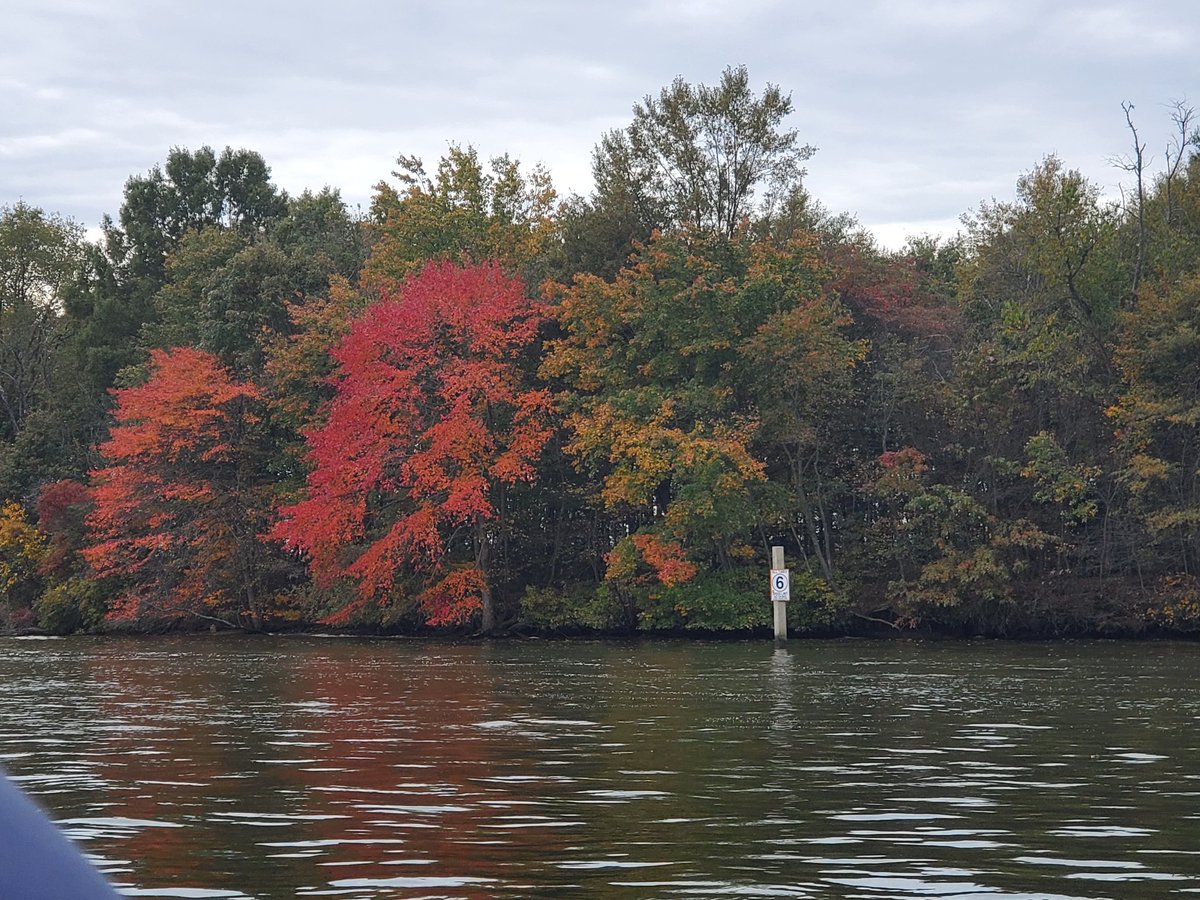 MissAshes92's tweet photo. Leaves πππ Water ππ€β΅
Beautiful weather for a walk yesterday. #MarylandFall https://t.co/su30Vi7gm4
