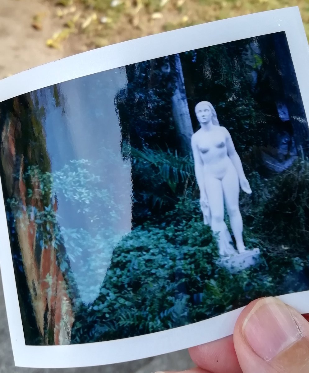 hnicmat's tweet photo. L'últim pack de #FP100.
#polaroid land 100. https://t.co/HGKtZuFSrA