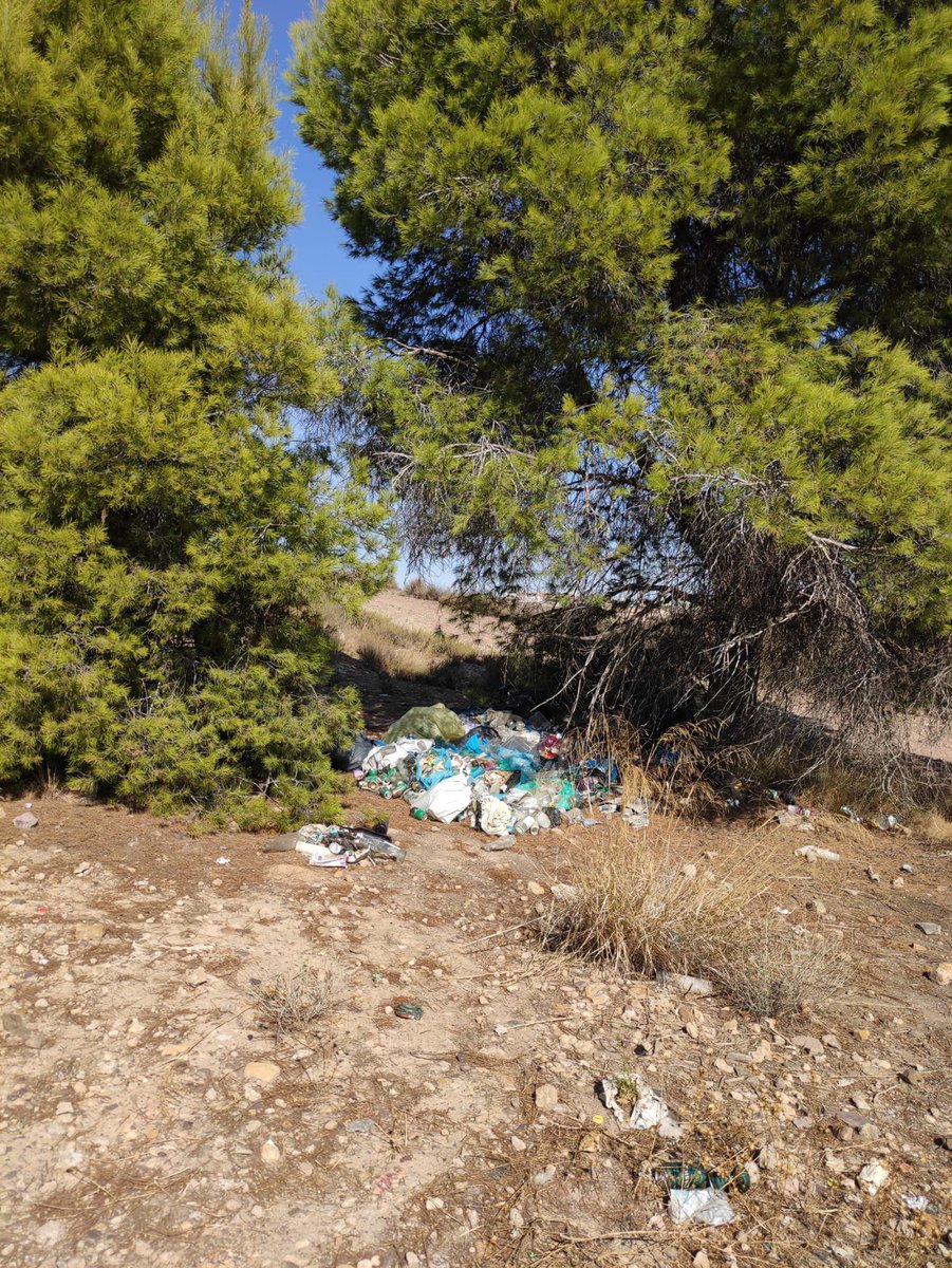 DoctorKnoxville's tweet photo. Una vergüenza que gente adulta que va a la universidad sean responsables para organizar novatadas/fiestas, pero luego no lo sean de la basura que dejan. A ver si @AytoMurcia o @UMU se hacen responsables. @MuCSostenible #Murcia #umu Foto detrás de la Granja Universitaria Guadalupe https://t.co/OYyQnHmjUP