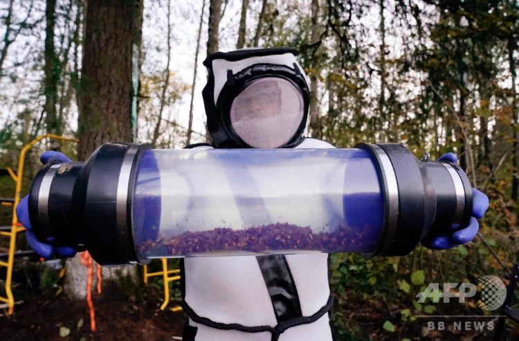 アメリカのオオスズメバチ駆除用器具が凄い！もしかして初代ゴジラのアレ？？