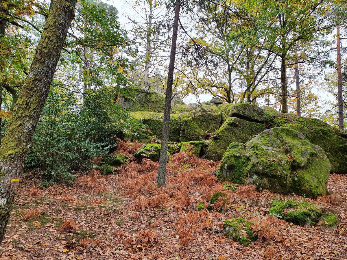Anne-Catherine Loisier,Sénatrice de la Côte d'Or🌲 tweet media