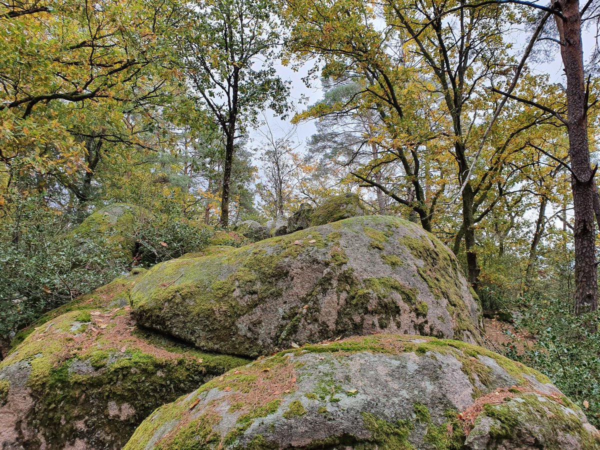 Anne-Catherine Loisier,Sénatrice de la Côte d'Or🌲 tweet media