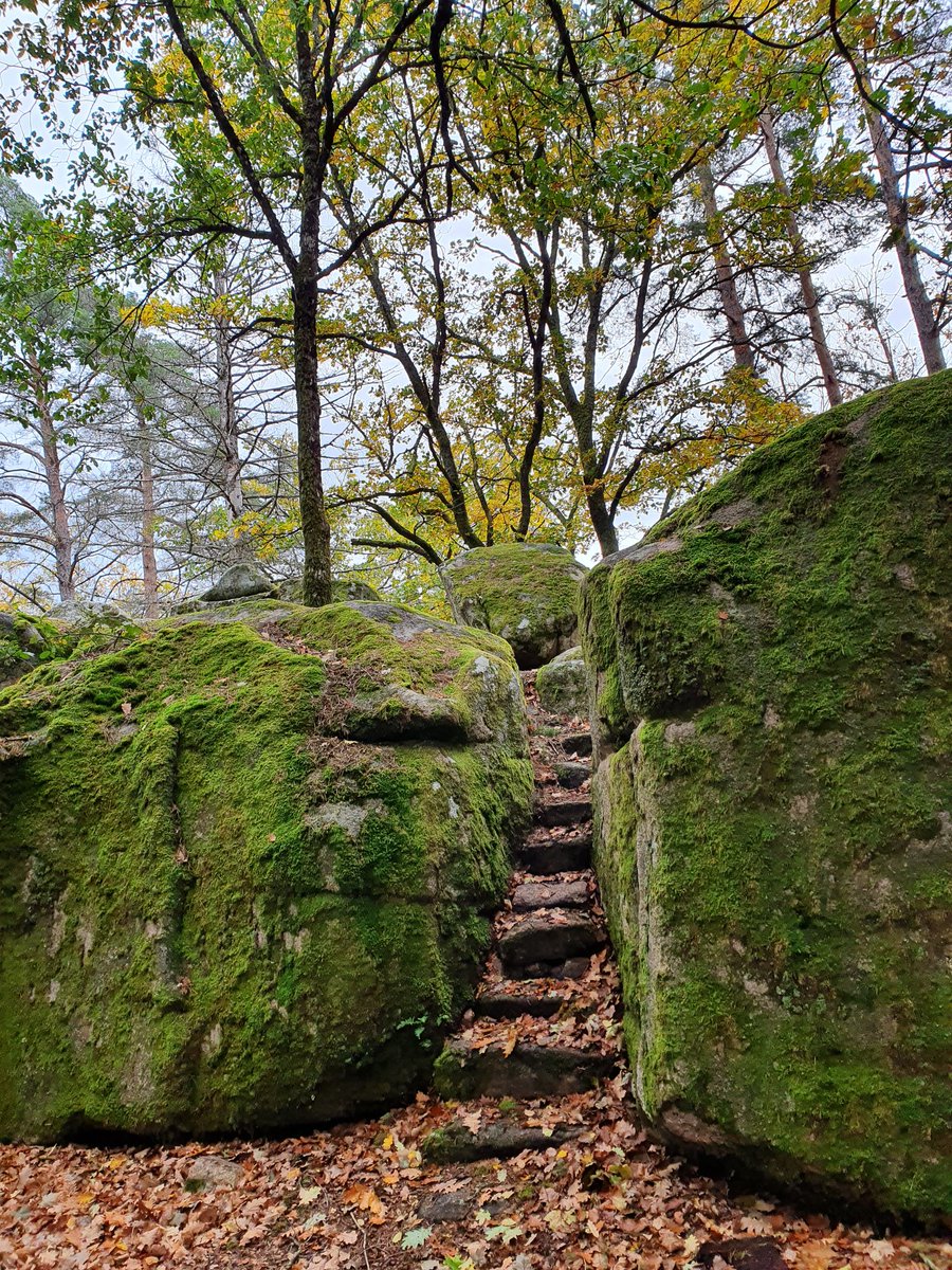 Anne-Catherine Loisier,Sénatrice de la Côte d'Or🌲 tweet media