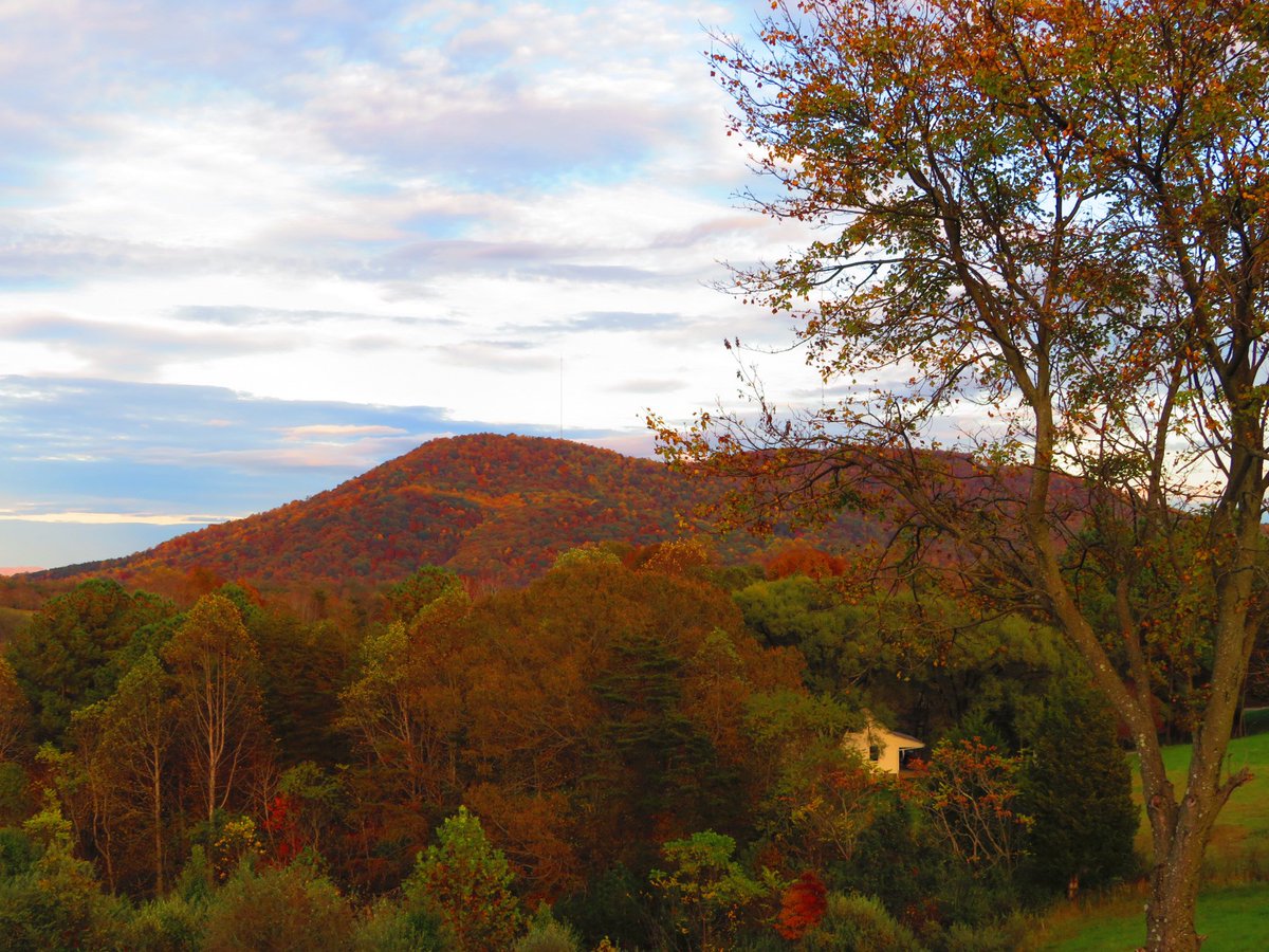Ccobb90's tweet photo. Oh fall 🍂 you are just so pretty!! https://t.co/mmWrM71AEK