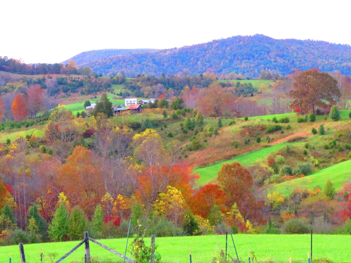 Ccobb90's tweet photo. Oh fall 🍂 you are just so pretty!! https://t.co/mmWrM71AEK
