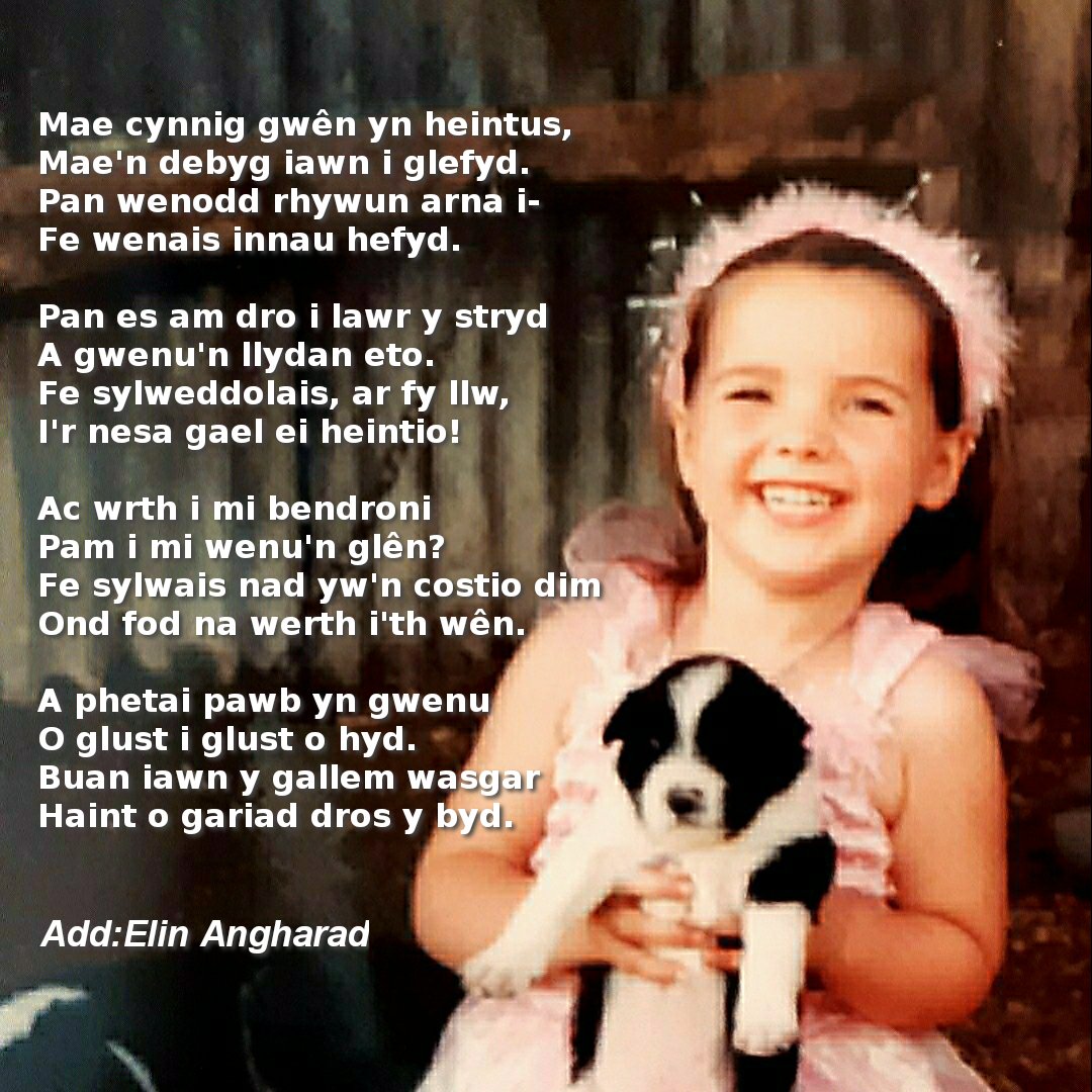 Gan fod cymaint o gecru a chasineb ar y cyfrwng yma, braf oedd cal cais i gyfieithu cerdd sy'n codi gwên #byddglên #codigwên