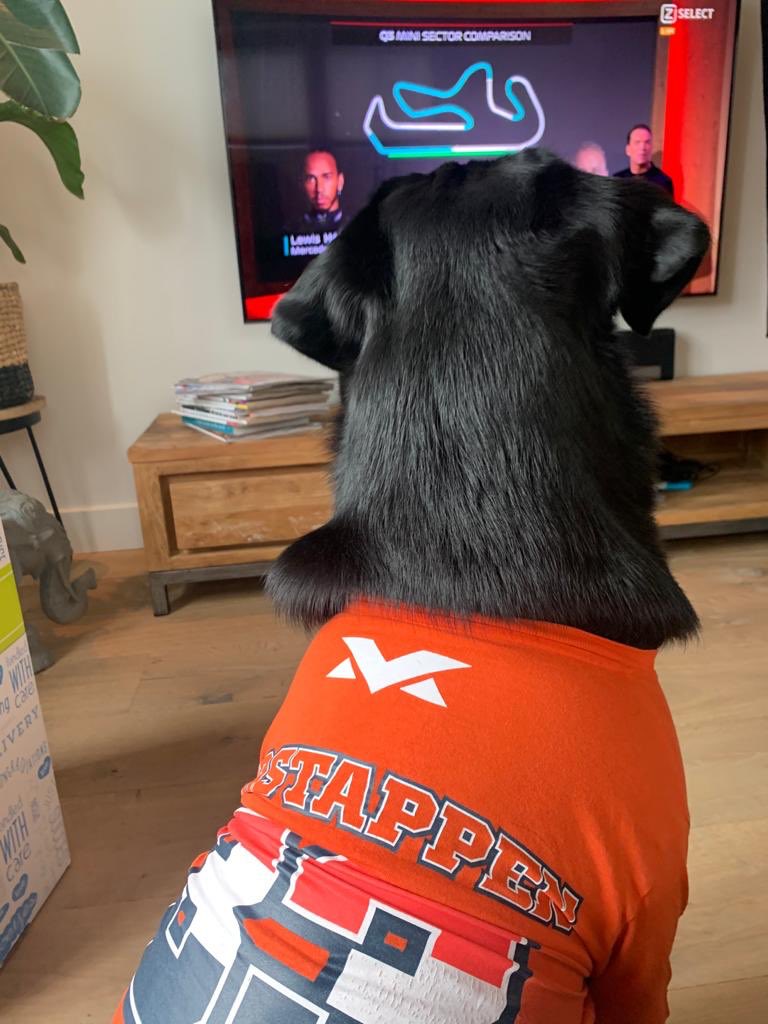 petrabontevp's tweet photo. @VanGamerenF1 Rico zit er klaar voor!! https://t.co/4AQ5R6yUqF