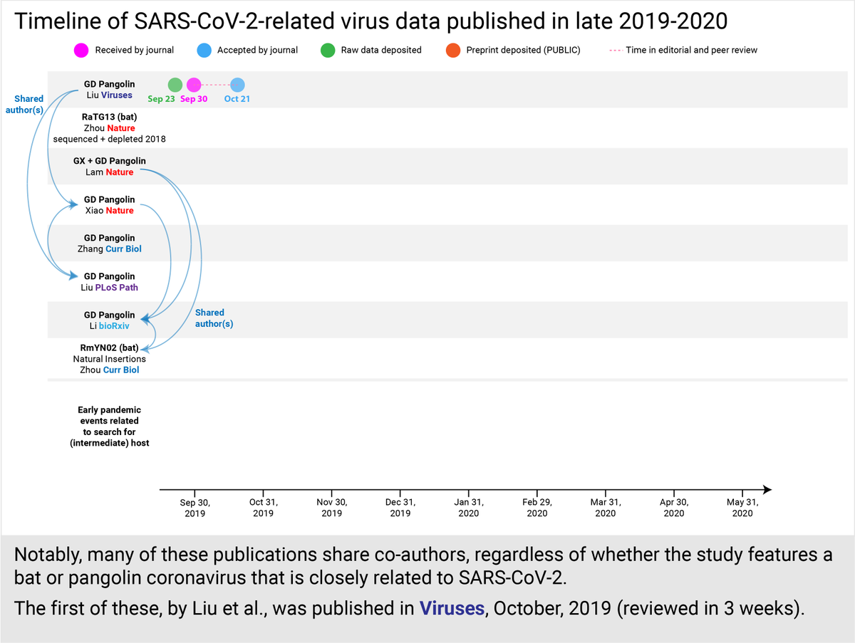 Notably, many of the key papers describing original data on bat or pangolin coronaviruses closely related to SARS-CoV-2 share co-authors.The first of these was Liu et al. Viruses (top row). It was reviewed in 3 weeks, published October 24, 2019. (4/30)