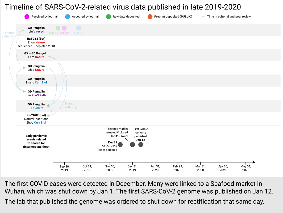 The first COVID cases were detected in mid-December 2019. Many were linked to the Huanan Seafood market, which was completely sanitized and shut down by Jan 1.The Chinese lab that first published SARS2's genome was closed for rectification that same day (Jan 12).(5/30)