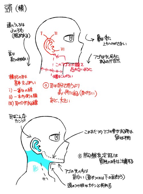 美術解剖学の本を買ったので勉強中。
今日はここまで、続きはまた明日。
コツコツ頑張ります。 