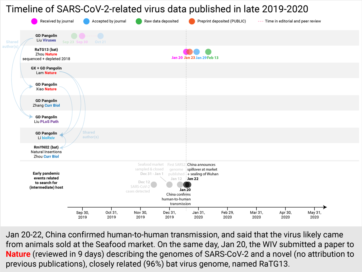 Jan 20, China finally confirms human-to-human transmission. Same day, WIV's paper is sent to  @Nature describing an unattributed bat virus 96% identical to SARS2.Jan 22, China says the virus likely came from animals sold at the Seafood market.Jan 23, WIV paper on bioRxiv.