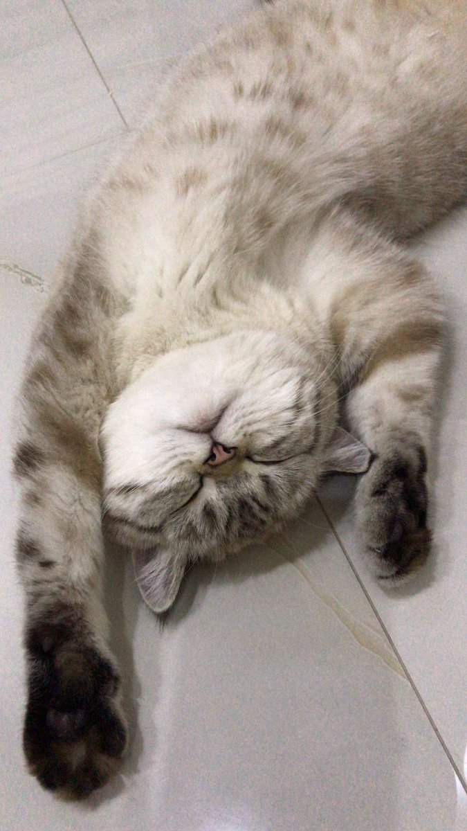 Güzelin miyim gerçekten