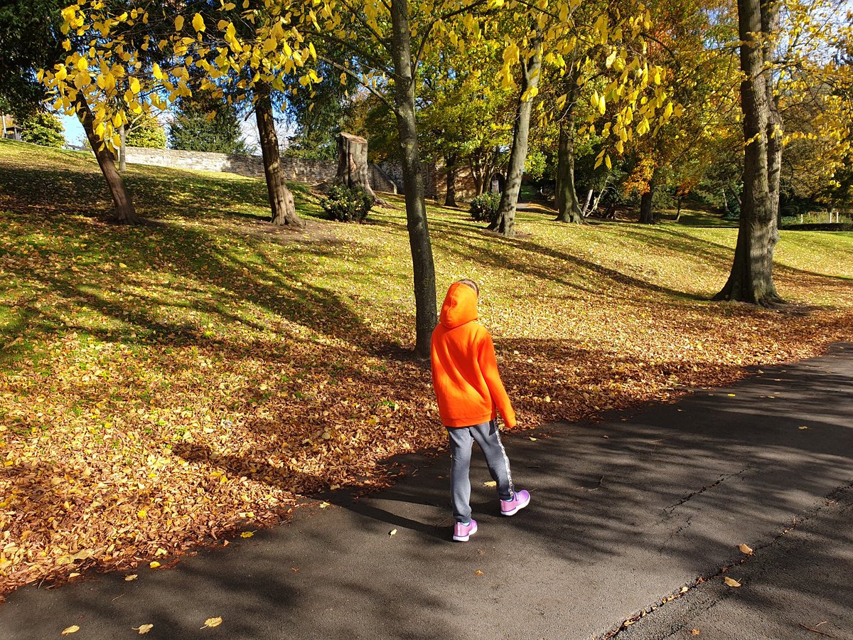 Betsybeansplay1's tweet photo. We did a 2.94 km stomp around the arboretum this morning.  What a gorgeous autumn day! @monksabbey #MAPSActive https://t.co/VXtgEzbu1x