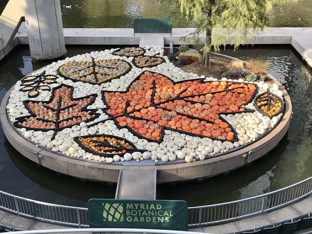 KevinMotto's tweet photo. Thank you @myriadgardens for #TheGreatPumpkinPatch wife and I enjoyed our afternoon last week. Your horticulturalists and Artists did a great job with the pumpkin murals @VisitOKC @DowntownOKC https://t.co/A07poyT94W