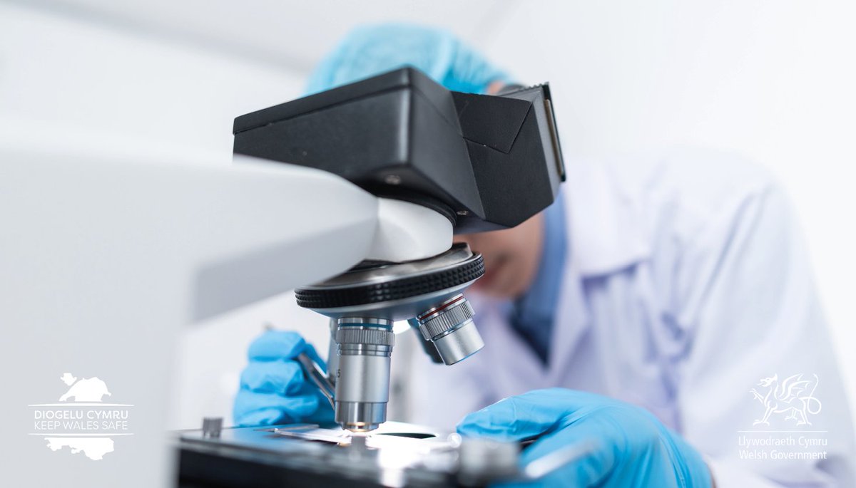 We’re proud of the ground-breaking research being developed in Wales.
We’ve been working with @BangorUni @cardiffuni @PublicHealthW and @DwrCymru to see if spikes of coronavirus can be seen in wastewater.
This work is vital to help us tackle the virus 👇
https://t.co/wPrDPv72av https://t.co/kJ2TYZnK0Z