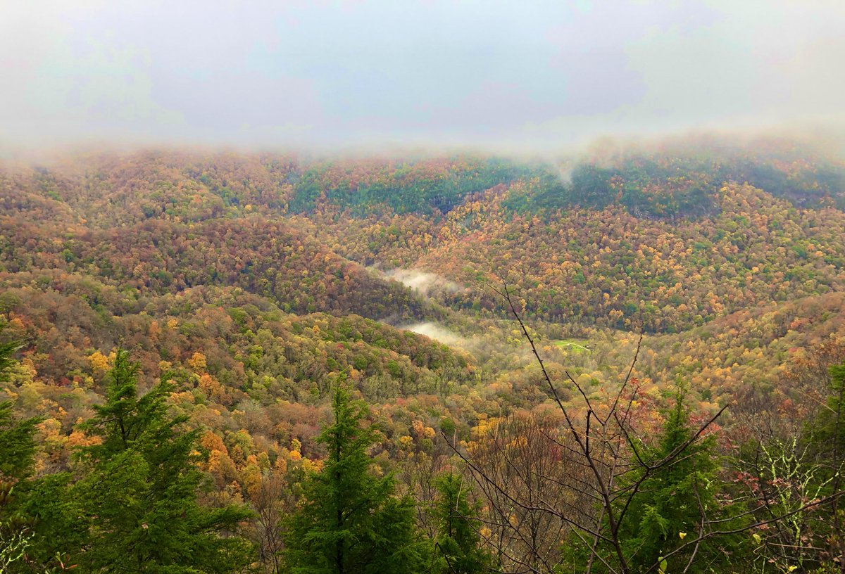chouchoutv's tweet image. A Blue Ridge Parkway kind of morning #fallingforfall #NCmountains #simplyspectacular