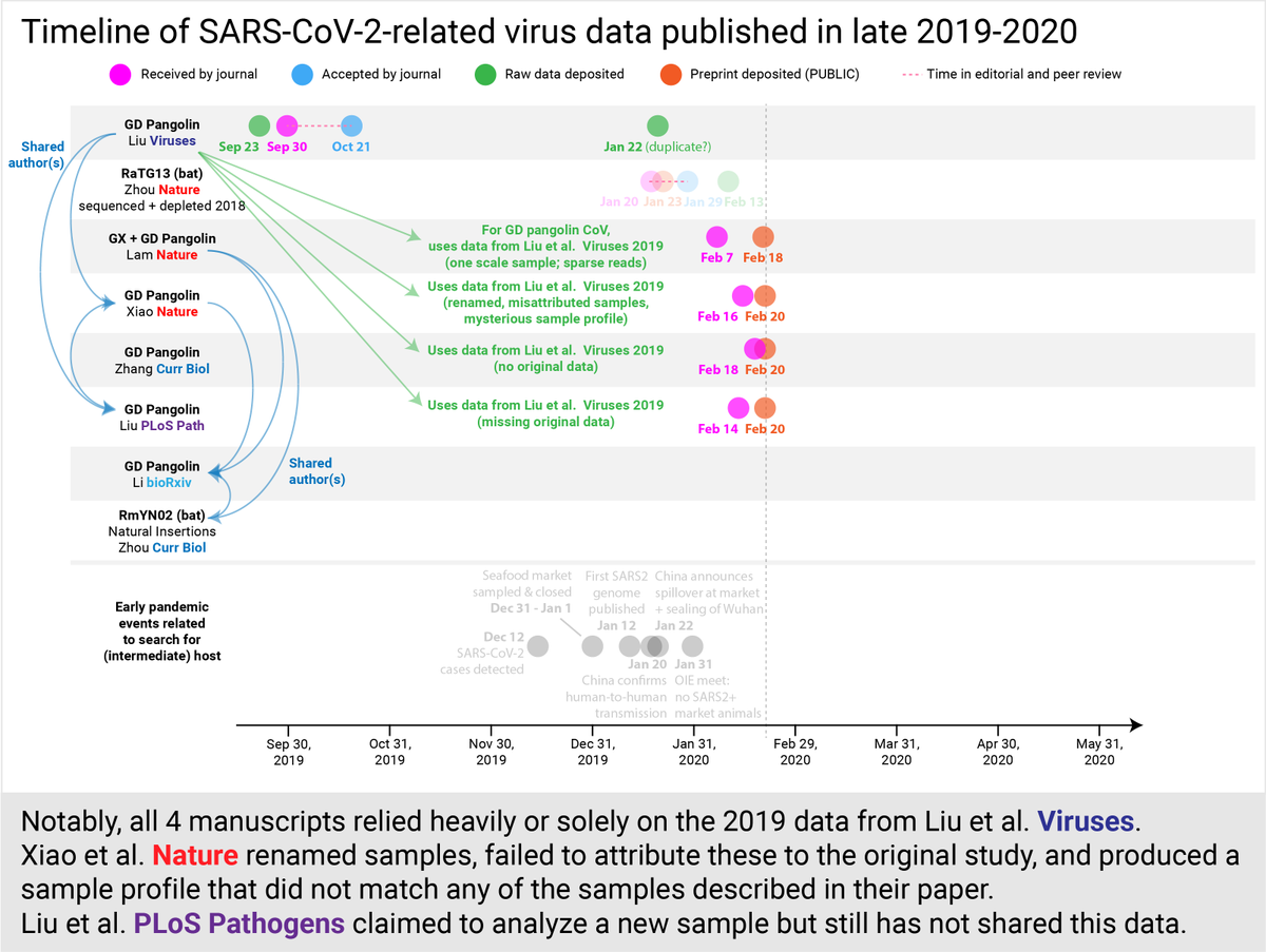 Notably, all 4 manuscripts relied heavily or solely on the Liu et al. Viruses paper. Xiao et al.  @Nature renamed samples, failed to attribute them properly, produced a profile that did not match any sample in their paper. Liu et al.  @PLoSPathogens is still missing data. (9/30)