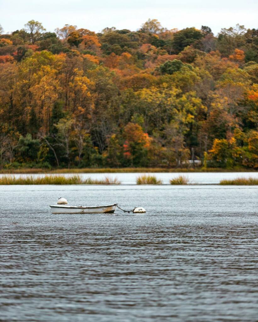 ericamango_'s tweet photo. Amazing views across the harbor. How have I never been here before?! Go explore while the Fall colors are out π
.
.
.
#longisland #coldspringharbor #coldspringharborny #islandstrong #exploreLINY #NewYorkExplored #naturalnewyork #longislandleisure #iloveny #liandthe5 #liprim⦠https://t.co/kRCDYJK3B7