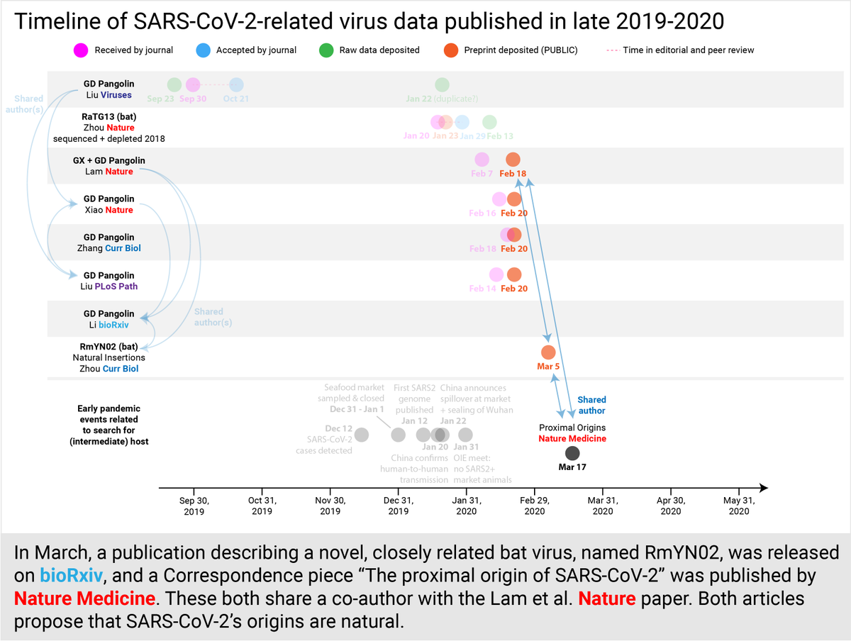 Soon, another preprint describing a closely related bat virus, RmYN02, and a  @NatureMedicine correspondence "The proximal origins of SARS-CoV-2" were published. These both share an author with Lam et al.  @Nature and both proposed that SARS2's origins are natural. (11/30)