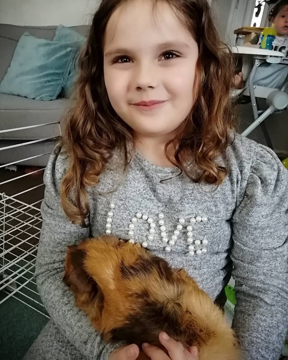 Leescreature_ft's tweet photo. Just a girl and her pig ❤️

#guineapigs #pig #pets #petpig https://t.co/uldZsO3cAc