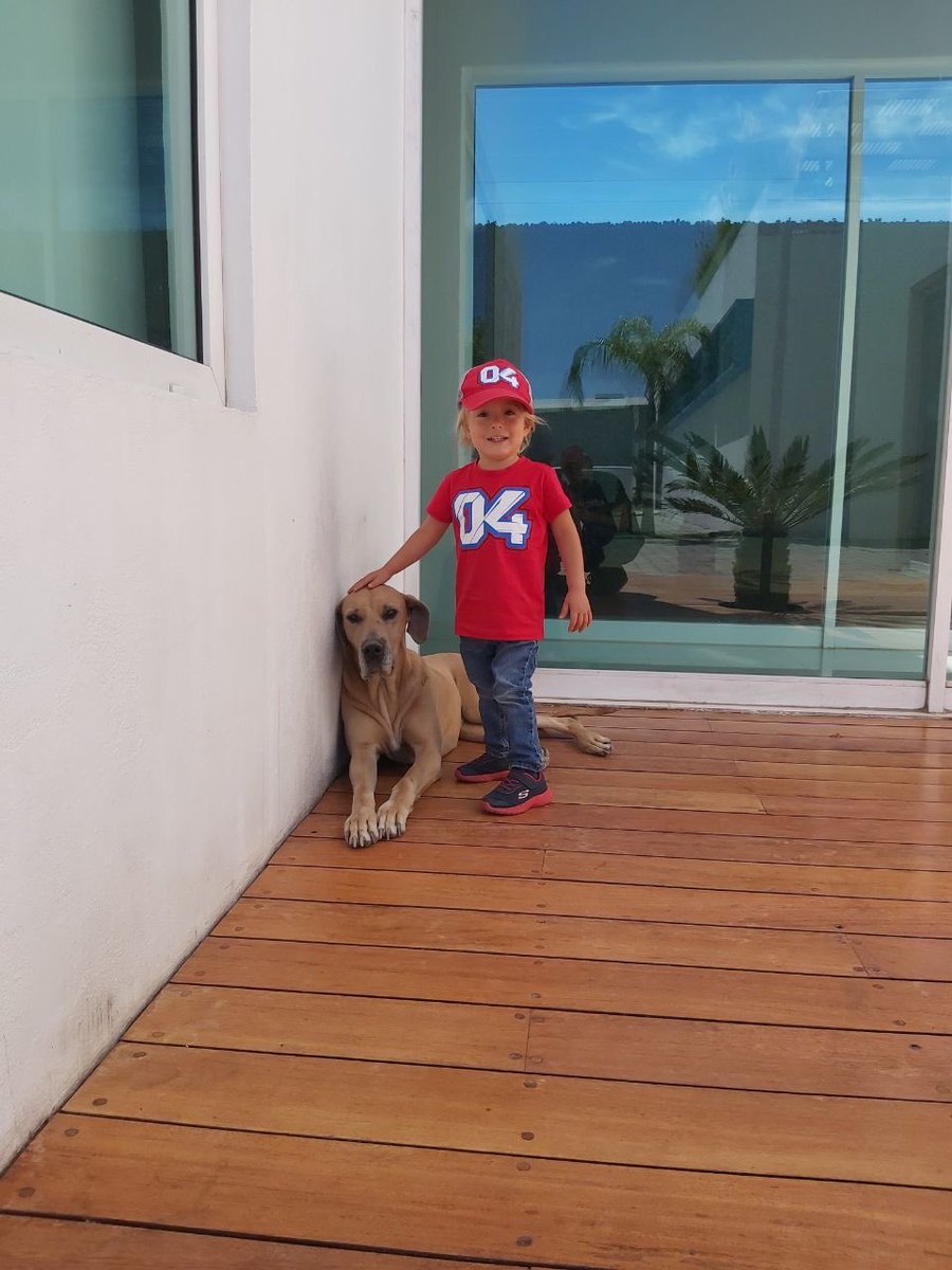 jjcarlon's tweet photo. Forza @AndreaDovizioso #VJ18 #endumaniacsmc https://t.co/NAfyPml5G1
