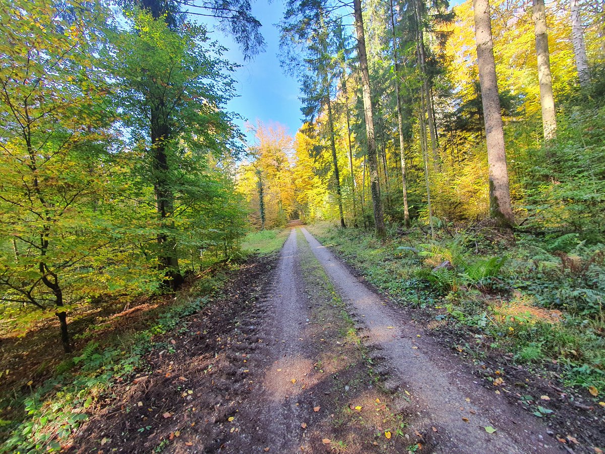 Jetzt herbstets aber..