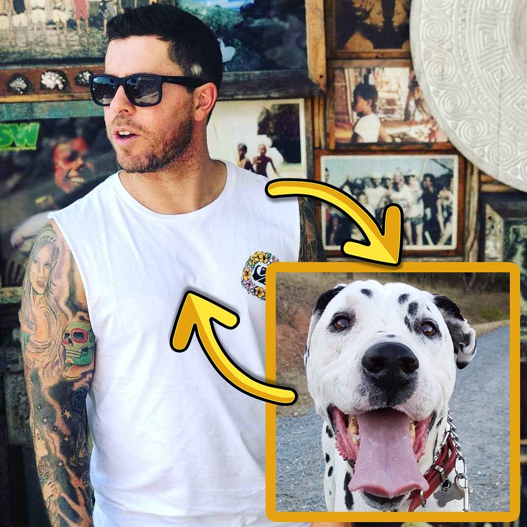 DareToYellow tweet media