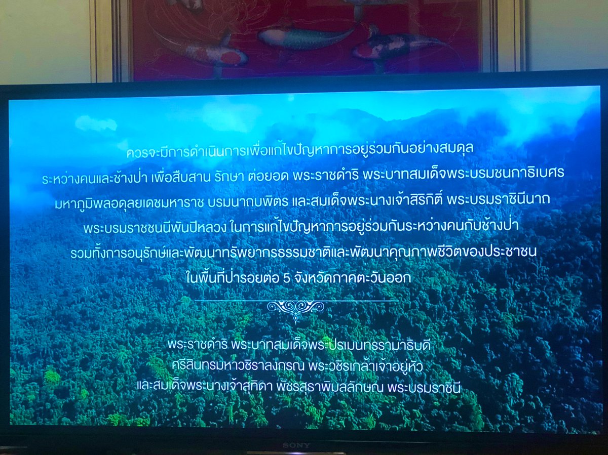 Nina_Phanita's tweet photo. โครงการพัชรสุธาคชานุรักษ์ โมเดลต้นแบบพัฒนาความสมดุลของแหล่งอาหารเตรียมพาช้างคืนสู่ป่า
#ชวนดูข่าวสองทุ่ม https://t.co/za9zG3g0xJ