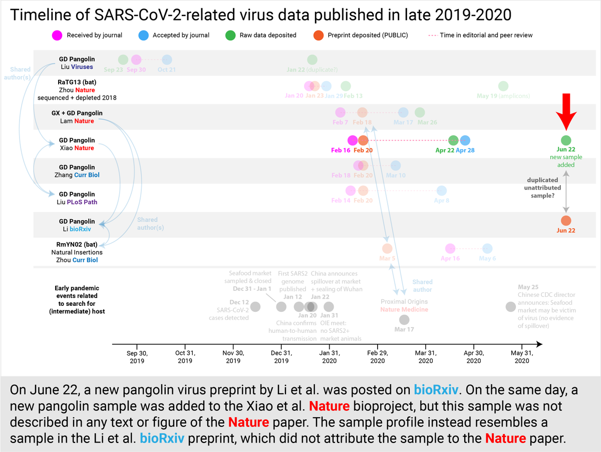 June 22, a new pangolin virus preprint appears. On the same day, data from a new pangolin sample was added to the already published Xiao et al.  @nature bioproject, but the sample was not described in any text/figure of the paper. Its profile instead resembled one in the preprint.