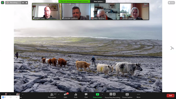 BurrenbeoTrust's tweet photo. We sort of made history today by herding cattle on zoom😀!! Our thank you to each and everyone who helped us mark this important occasion..an uplifting inspiring celebration of winterage in the Burren. Recordings will be made available soon our Burrenbeo's YouTube channel. #BWW20 https://t.co/3ywNtkOW0y