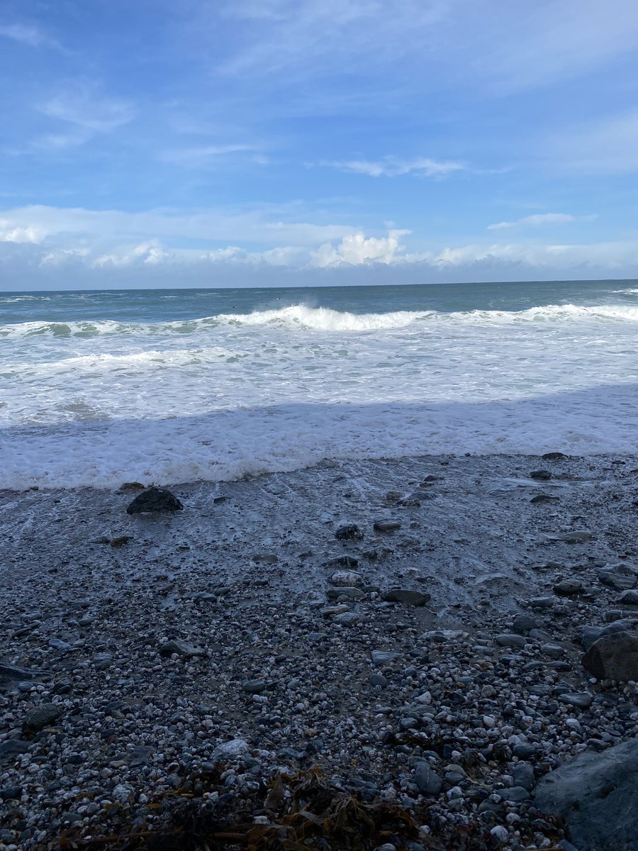 JennyCVincent's tweet image. This Sunday morning walk makes the wet and dark night drive worth it!! What a way to get rid of the post hockey soreness!! #stunning #andrelax #miniholiday