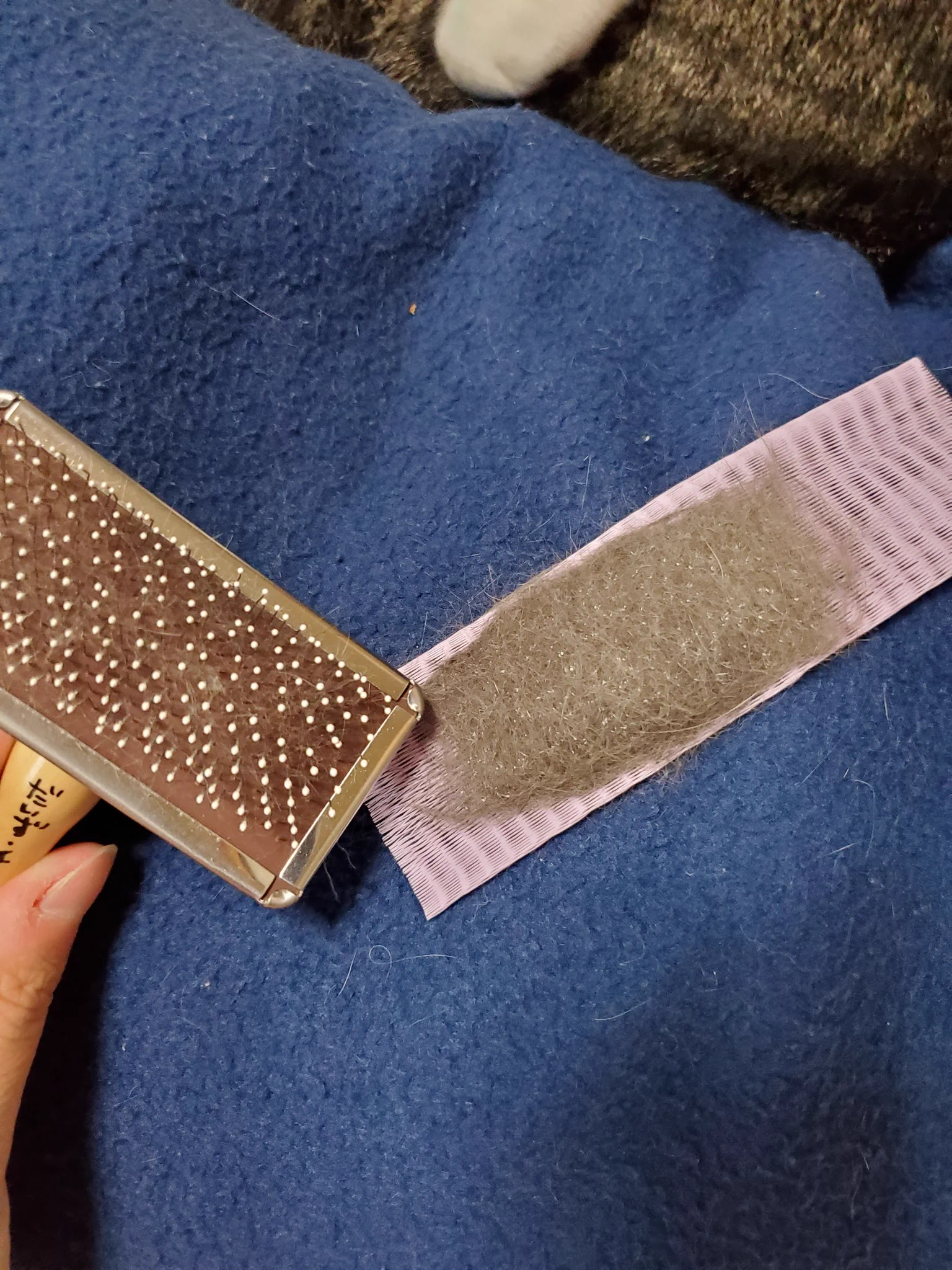 猫を飼っている人、必見！ダイソーのグッズを使ったら、ブラッシングが超ラクに！