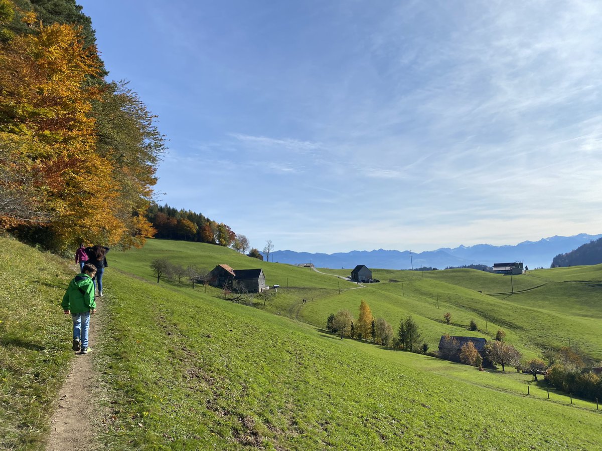 sandro_w_hess's tweet photo. Goldener #Herbst im Bezirk #Oberegg! 👌🏻🤩 https://t.co/PtrVDNpyb3