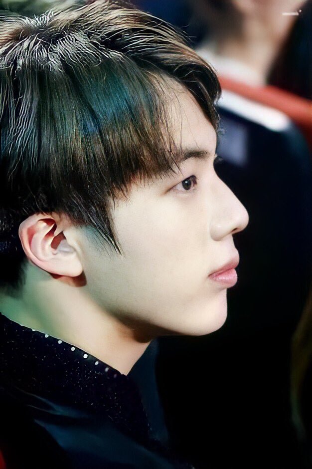 pointed nose