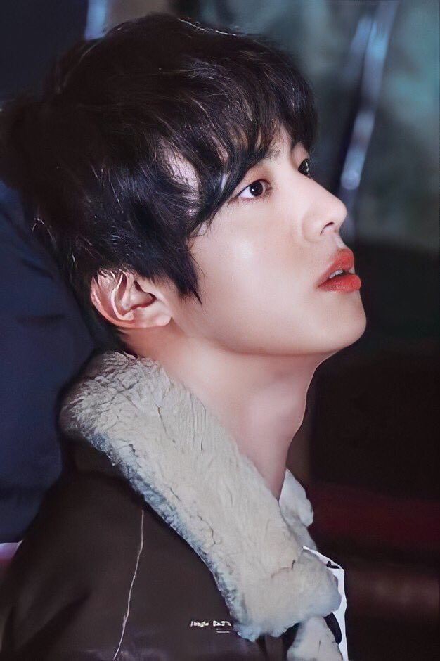 pointed nose