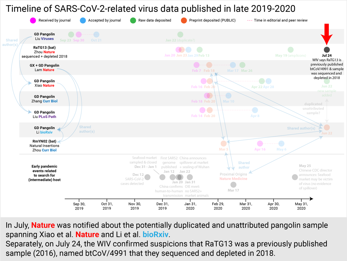 Separately, on July 24, the WIV confirmed suspicions that RaTG13 was not a novel virus, but actually had been published in 2016 (then named btCoV/4991) and that the sample was sequenced and depleted in 2018 (not post-COVID). Nothing left for independent verification. (21/30)