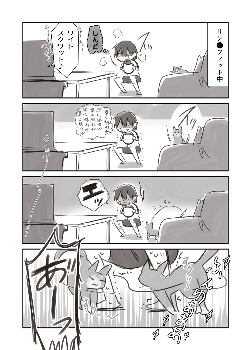 リングフィットをしていると高確率で猫に邪魔される 