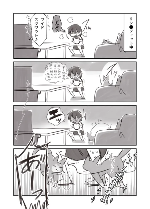 リングフィットをしていると高確率で猫に邪魔される 
