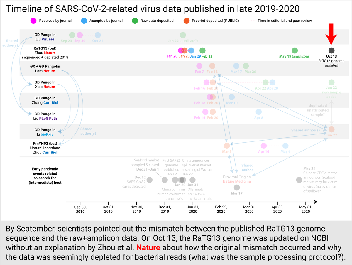 By September, scientists were pointing out the mismatched RaTG13 published genome vs the raw+amplicon data. Oct 13, the RaTG13 genome was quietly updated on  @NCBI again no explanation by Zhou et al.  @Nature -how the mismatch occurred, how the sample was processed exactly. (23/30)