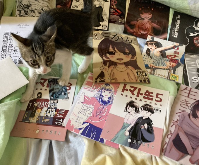 りょなけっとの戦利品を綺麗に並べて写真を撮ろうとした時の乱入猫と大人しい時の猫 