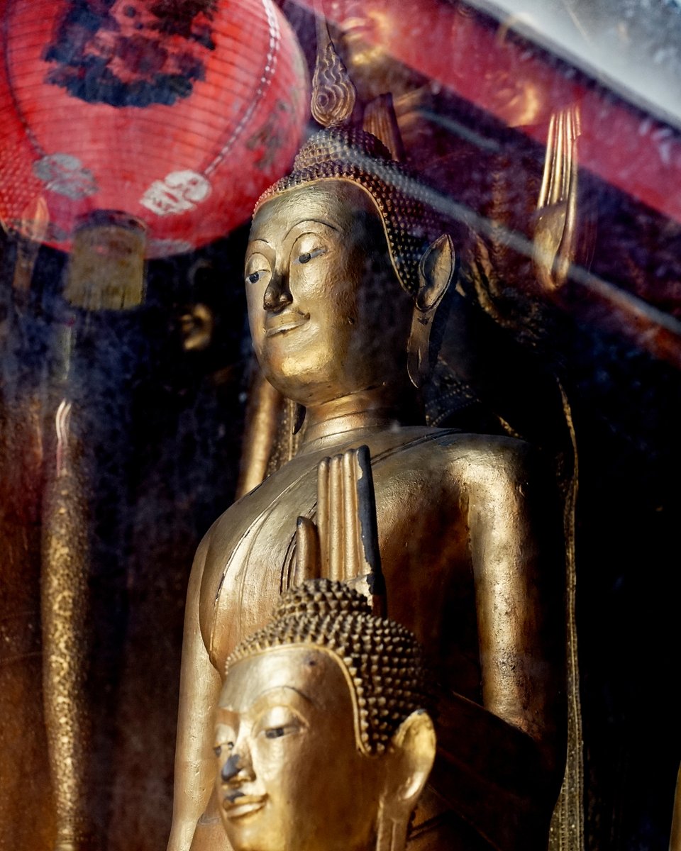 DiscoveringBKK's tweet photo. Chinese-style #Buddhaimages at ⁣⁣#WatMangkonKamalawat, also known as the #DragonLotusTemple, located in #chinatownbangkok. 

📷  https://t.co/VUDjAjotM1
⁣⁣⁣
⁣⁣⁣⁣⁣⁣⁣⁣#discoveringbangkok #chinesetemple #chinesebuddhisttemple #bangkoktemples #bangkoktouristattraction https://t.co/Mx6X0YqIxl