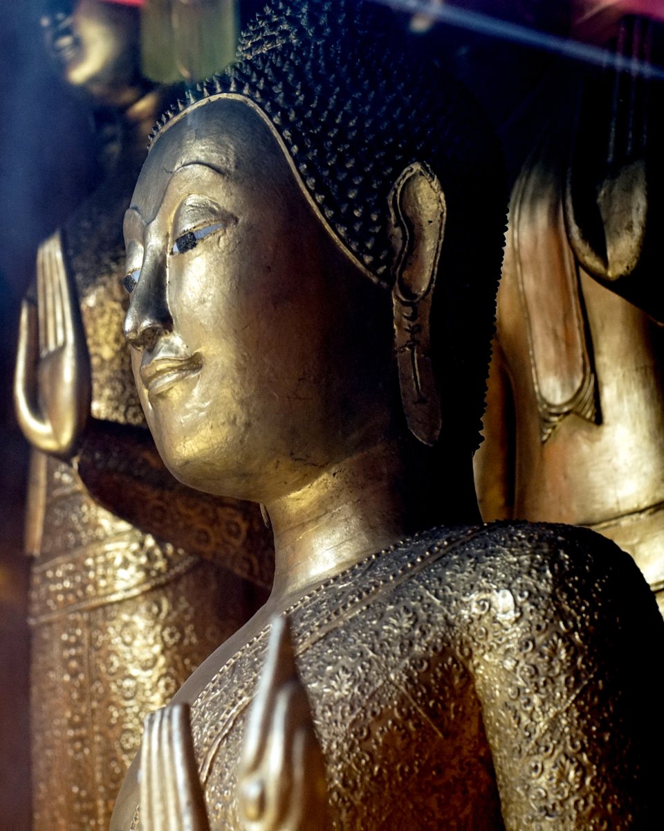 DiscoveringBKK's tweet photo. Chinese-style #Buddhaimages at ⁣⁣#WatMangkonKamalawat, also known as the #DragonLotusTemple, located in #chinatownbangkok. 

📷  https://t.co/VUDjAjotM1
⁣⁣⁣
⁣⁣⁣⁣⁣⁣⁣⁣#discoveringbangkok #chinesetemple #chinesebuddhisttemple #bangkoktemples #bangkoktouristattraction https://t.co/Mx6X0YqIxl
