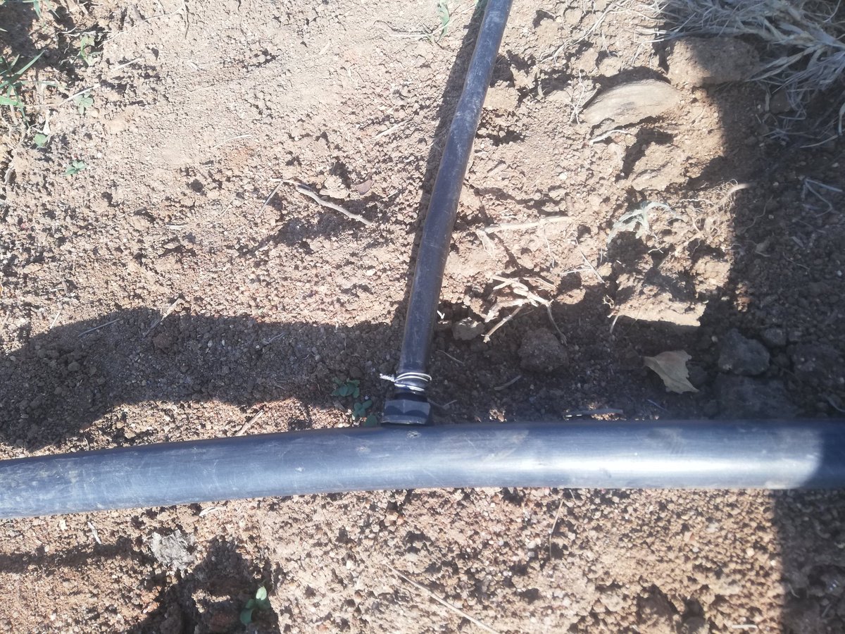BenicaTheFarmer's tweet photo. Done 50x40 portion
#DripInstallations

Things that excites me👨‍🌾

I'm a Farmer https://t.co/RCfvQ1E75L
