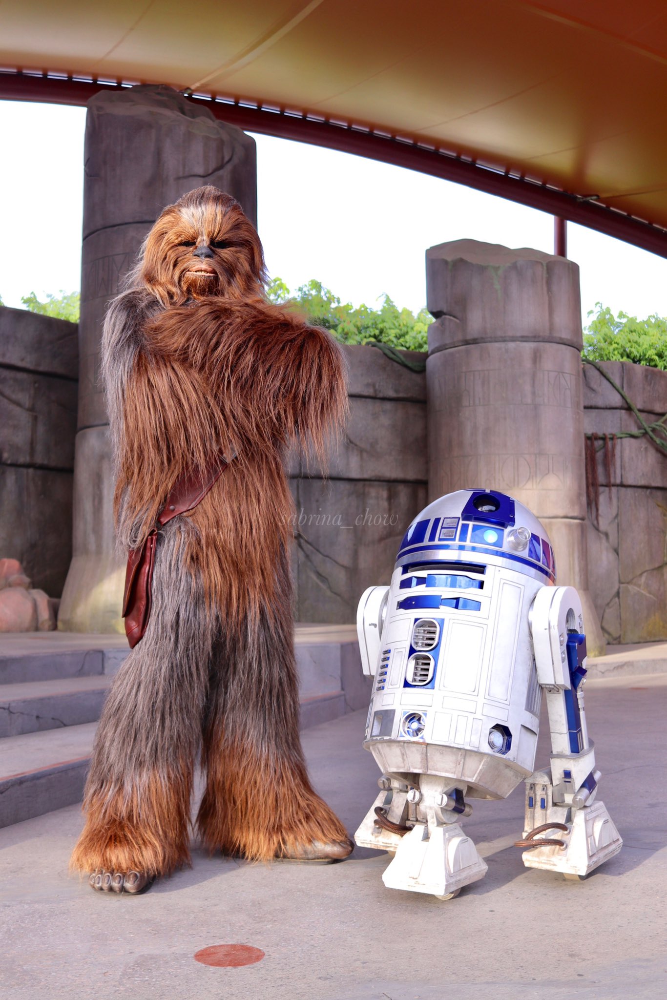 Sabrina Chewie And R2 D2 Were Out For A Sunbath Today Chewie Is Such A Cutie Isn T He Hkdl Disneyland Disney Starwars Chewbacca R2d2 スターウォーズ チューバッカ 香港ディズニーランド ディズニーランド ディズニー T