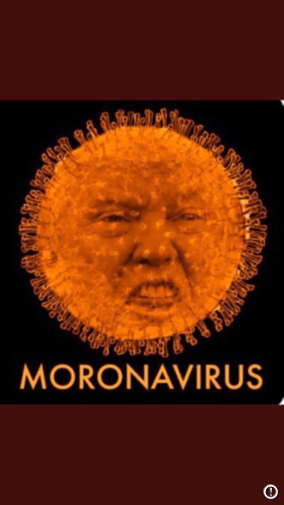 WhoDoesThat9's tweet photo. @MollyJongFast @CountryOverPar5 https://t.co/z51AwgSclK